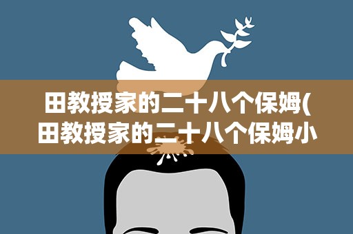 田教授家的二十八个保姆(田教授家的二十八个保姆小林和思文在一起了吗)
