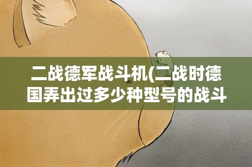 二战德军战斗机(二战时德国弄出过多少种型号的战斗机)
