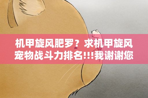 机甲旋风肥罗？求机甲旋风宠物战斗力排名!!!我谢谢您啦!!!