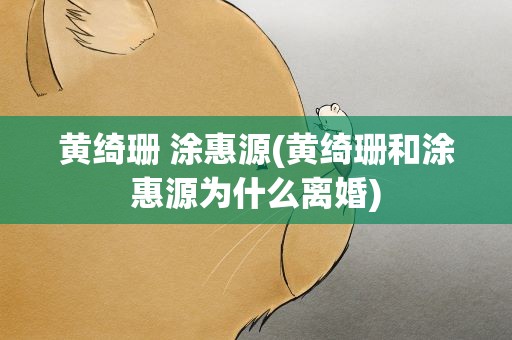 黄绮珊 涂惠源(黄绮珊和涂惠源为什么离婚)