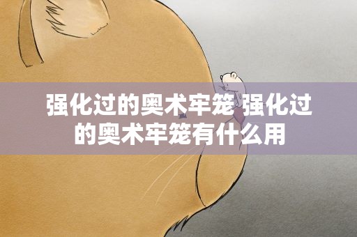 强化过的奥术牢笼 强化过的奥术牢笼有什么用