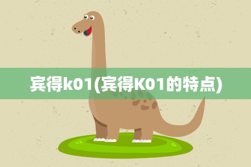 宾得k01(宾得K01的特点)