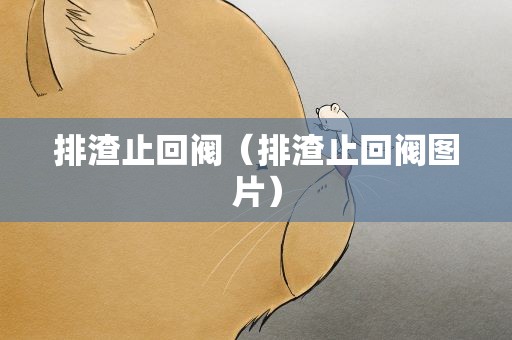 排渣止回阀（排渣止回阀图片）