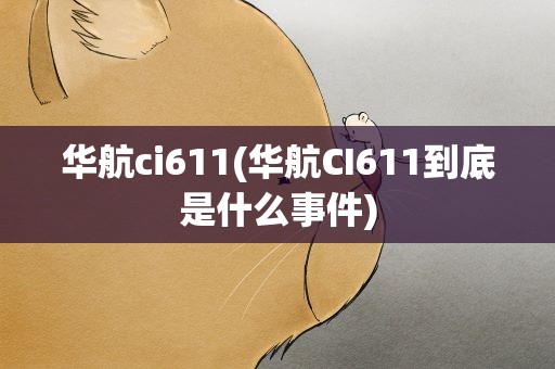 华航ci611(华航CI611到底是什么事件)