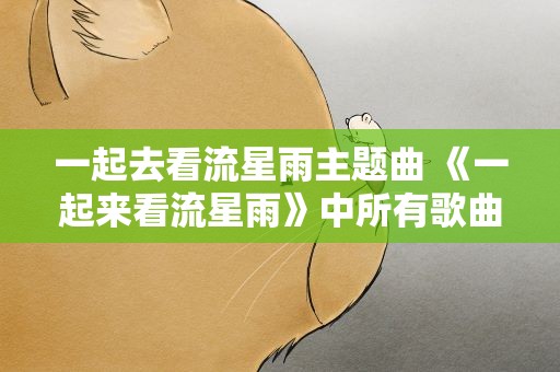 一起去看流星雨主题曲 《一起来看流星雨》中所有歌曲