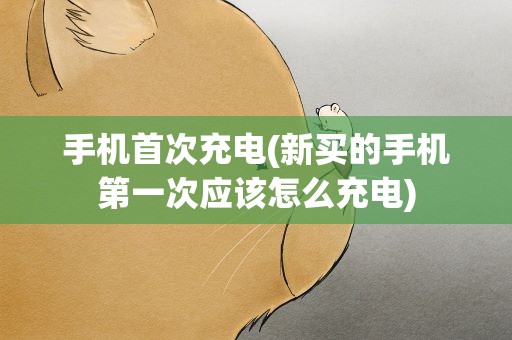 手机首次充电(新买的手机第一次应该怎么充电)