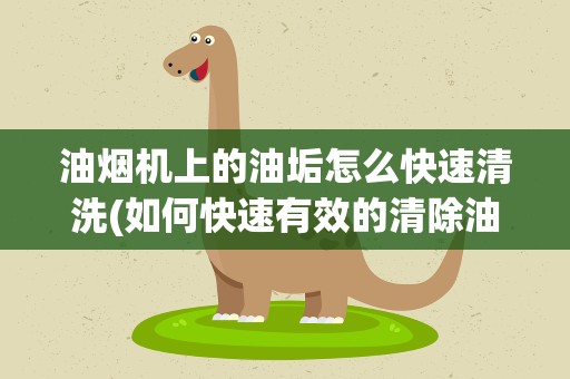 油烟机上的油垢怎么快速清洗(如何快速有效的清除油烟机上的油渍!)