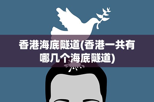 香港海底隧道(香港一共有哪几个海底隧道)