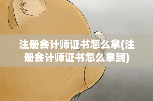 注册会计师证书怎么拿(注册会计师证书怎么拿到)