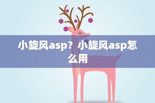 小旋风asp？小旋风asp怎么用