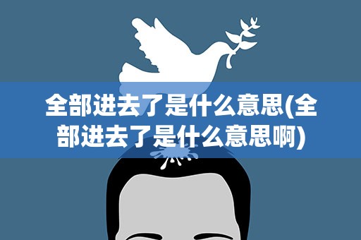 全部进去了是什么意思(全部进去了是什么意思啊)