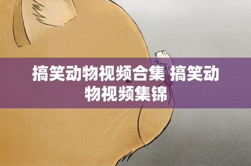 搞笑动物视频合集 搞笑动物视频集锦