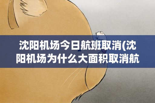 沈阳机场今日航班取消(沈阳机场为什么大面积取消航班)