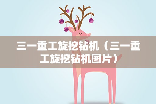 三一重工旋挖钻机（三一重工旋挖钻机图片）