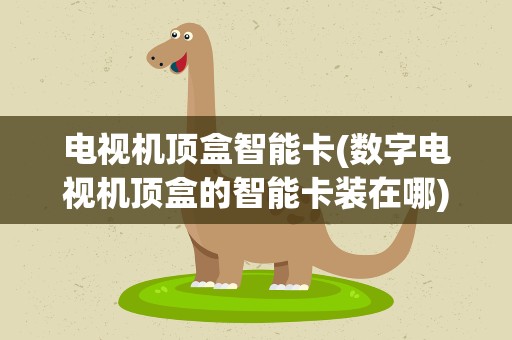 电视机顶盒智能卡(数字电视机顶盒的智能卡装在哪)
