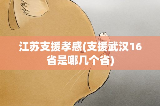 江苏支援孝感(支援武汉16省是哪几个省)