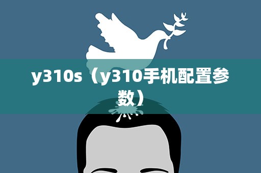 y310s（y310手机配置参数）