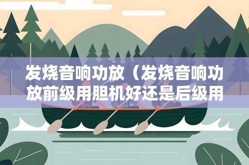 发烧音响功放（发烧音响功放前级用胆机好还是后级用胆机好?）