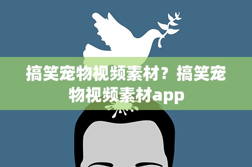 搞笑宠物视频素材？搞笑宠物视频素材app