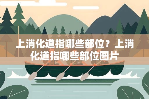 上消化道指哪些部位？上消化道指哪些部位图片