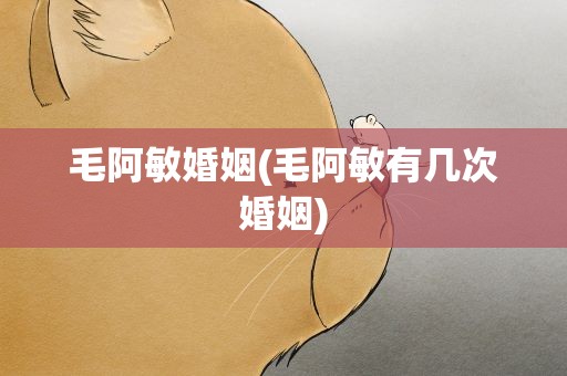 毛阿敏婚姻(毛阿敏有几次婚姻)