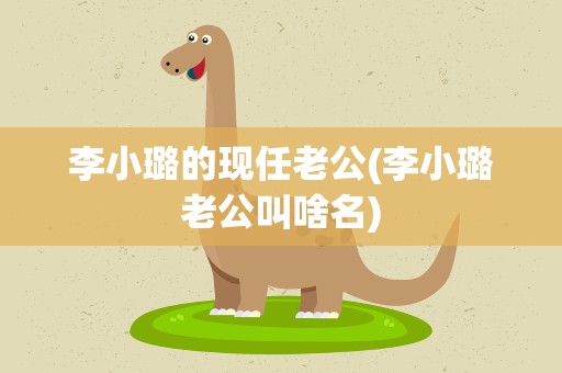 李小璐的现任老公(李小璐老公叫啥名)