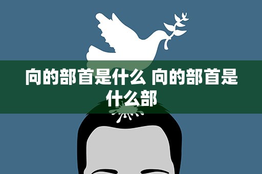向的部首是什么 向的部首是什么部