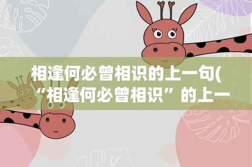 相逢何必曾相识的上一句(“相逢何必曾相识”的上一句是什么)