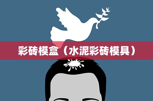 彩砖模盒（水泥彩砖模具）