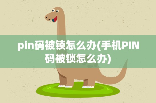 pin码被锁怎么办(手机PIN码被锁怎么办)