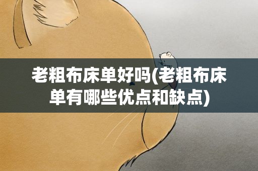 老粗布床单好吗(老粗布床单有哪些优点和缺点)