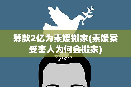 筹款2亿为素媛搬家(素媛案受害人为何会搬家)