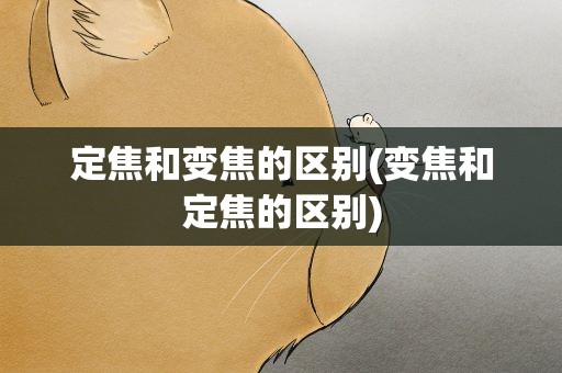 定焦和变焦的区别(变焦和定焦的区别)