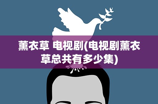 薰衣草 电视剧(电视剧薰衣草总共有多少集)