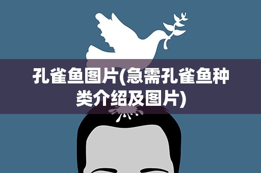 孔雀鱼图片(急需孔雀鱼种类介绍及图片)