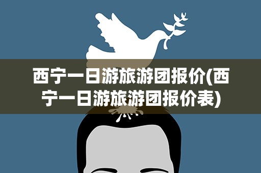 西宁一日游旅游团报价(西宁一日游旅游团报价表)