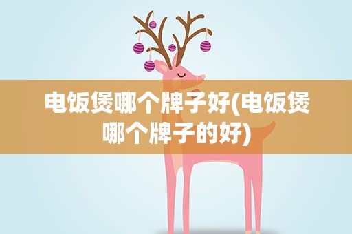电饭煲哪个牌子好(电饭煲哪个牌子的好)