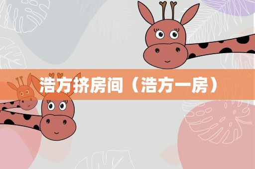 浩方挤房间（浩方一房）