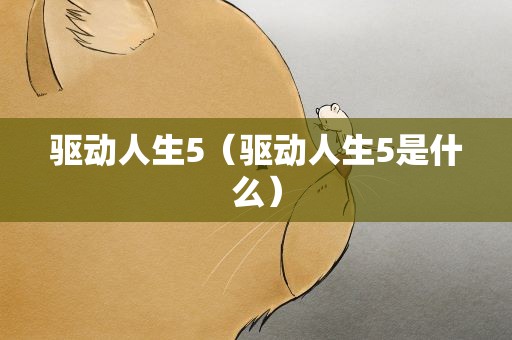 驱动人生5（驱动人生5是什么）