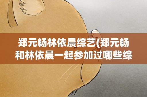 郑元畅林依晨综艺(郑元畅和林依晨一起参加过哪些综艺节目)