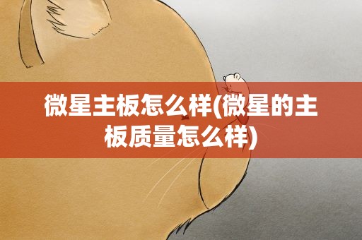 微星主板怎么样(微星的主板质量怎么样)