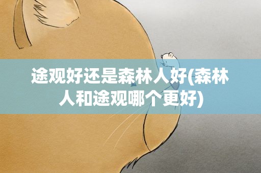 途观好还是森林人好(森林人和途观哪个更好)