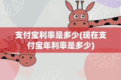 支付宝利率是多少(现在支付宝年利率是多少)