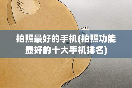 拍照最好的手机(拍照功能最好的十大手机排名)