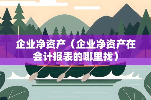 企业净资产（企业净资产在会计报表的哪里找）