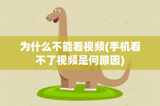 为什么不能看视频(手机看不了视频是何原因)