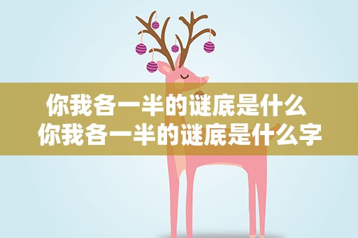 你我各一半的谜底是什么 你我各一半的谜底是什么字