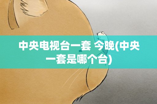 中央电视台一套 今晚(中央一套是哪个台)