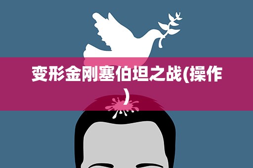 变形金刚塞伯坦之战(操作)