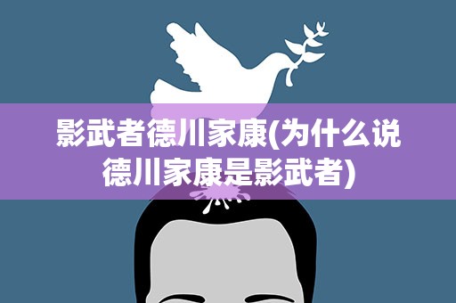 影武者德川家康(为什么说德川家康是影武者)